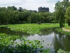 android_upload_pic-紫竹院公园冰场