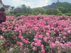 -上海辰山植物园