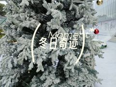 -民盈·国贸城