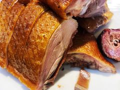 -陈麻婆豆腐(旗舰店)