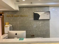 -ACE造型
