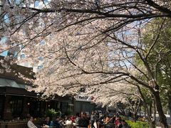 -玛格萝妮比萨屋(四平店)