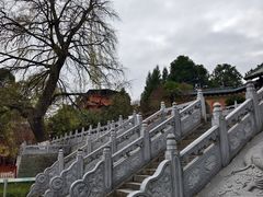 -报恩寺(平武县)