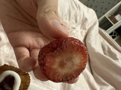 -山崎面包(苏州中心店)