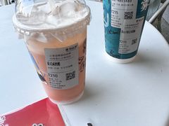 -雾与山茶(大禹城店)