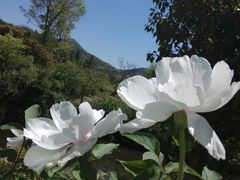 -白马涧龙池景区