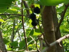 -盘龙城国家考古遗址公园