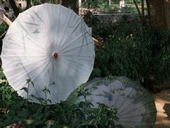 -广西壮族自治区药用植物园