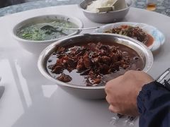 -南山植物园