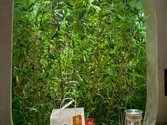 -和晟shèng铁锅炖·东北菜(南山店)