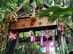 -西双版纳原始森林公园