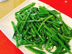 佛手瓜苗-粤北餐馆