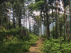 -湖州龙王山景区