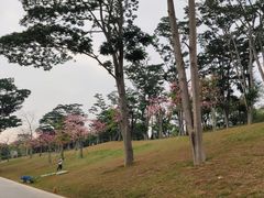 -东门町美食街