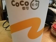 焦糖奶茶-CoCo都可(北新桥店)