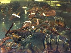 -海神·济州岛海鲜料理(天乐广场店)