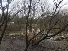 -西湖风景区-江洋畈生态公园