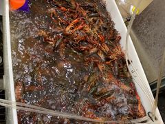 -龙虾奇迹(大华三路店)