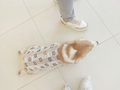 -怪兽屋·羊驼·猫咖·狗咖(俊华广场店)