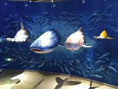 -烟台海昌鲸鲨海洋公园