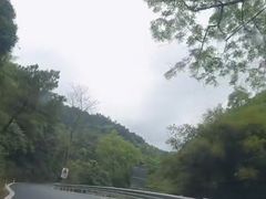 -甘家界柠檬鸭店(高峰林场店)