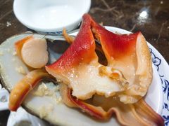 -蚝专家(北滘店)