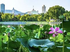 -山东政协大厦维景大酒店