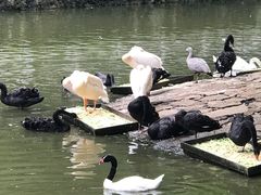 -黔灵山公园