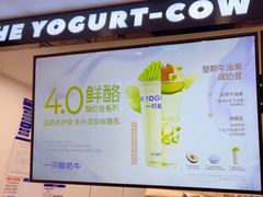 -一只酸奶牛(洪崖洞11楼店)