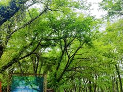-西溪南古村落