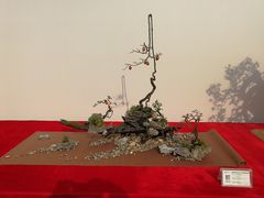 -重庆市江北嘴中央商务区中央公园