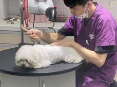 -宠颐生动物医院·小陆分院