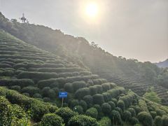 -十里琅珰