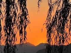 -东湖生态旅游风景区