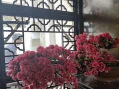 -上海醉白池公园