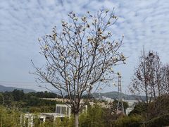 -中国移动南方基地