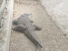 -昆明动物园