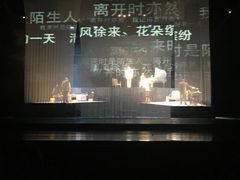 -合肥大剧院