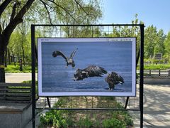 -野鸭湖国家湿地公园