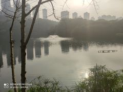 -重庆彩云湖湿地公园