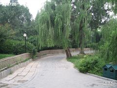 -紫竹院公园冰场