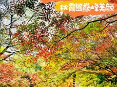 -秋霞圃