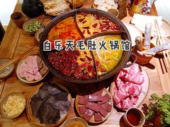 -白乐天毛肚火锅馆(解放碑店)