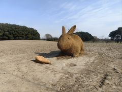 -嘉北郊野公园