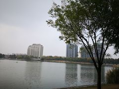 -南翔镇银翔湖公园