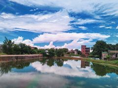 -江门古劳水乡旅游区
