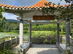 -大屏嶂森林公园