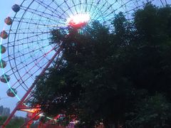 -南湖梦幻岛
