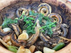 生焗黄鳝饭-台山第一家兴华黄鳝饭·黄鳝婆(开平店)