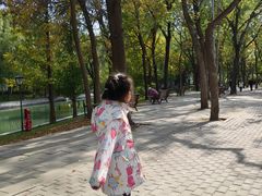 -朝阳公园游乐园